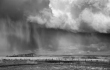 Storm Front / /////