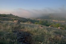 The passing mist. / ***