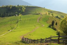 Intermountain emerald hills, Carpathians / ***