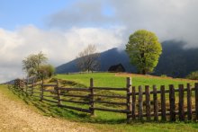 In the morning on the farm / ***