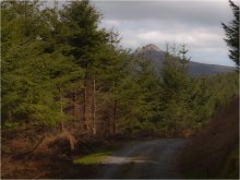 MINING ... &quot;trails&quot; 3 ... / ...summit of Great Sugar loaf view...