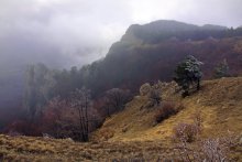 North Demerji / ***