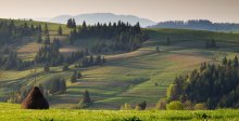 Carpathian Mountains in the mist / ***