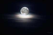 Moon / ***