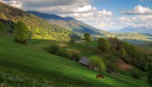 Carpathian landscape with a red horse :) / ***