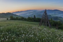 The birth of a new day / ***