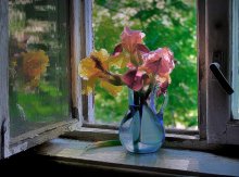 Morning with Irises / ***