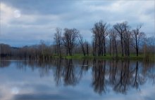 Backwater / --- --- ---