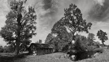 the pond were three oak ... / *****