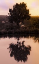 reflection in the water / ***