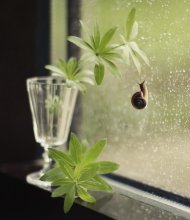 When the rain outside the window ... ... / ...............