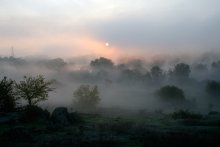 Valley Morning Protych. / ***