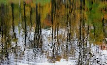 Reflection / ***