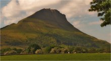 ...Shark Fin... / ...Gortnadrung, Benwiskin, Co. Sligo...