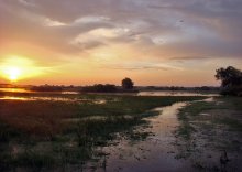 Summer rain flood / ***