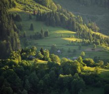 Carpathians. Beginning of June. / http://max-helloween.livejournal.com/85496.html