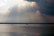 Under the umbrella of the rays. / ***