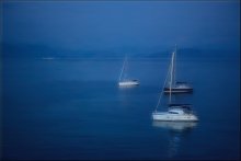 What dreams ships .... / ***