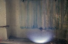 colors of autumn / ***