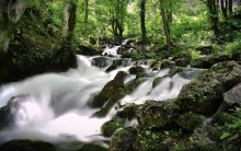 in the suburbs of Durmitor / ***