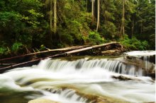 In the mountains / ***