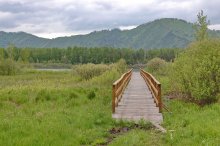 The bridge to the lake / ***