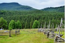 In the Carpathians / ........