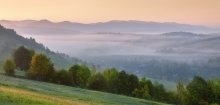 Sheltered expanse of gray veil / ***