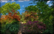 UK. RHS Garden Wisley / ***