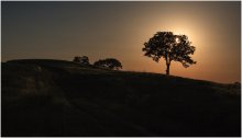 Tuscan contre. / ***