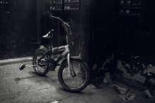 Bike / ***