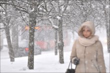 Snowfall / ***