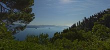 Portofino Bay / ***