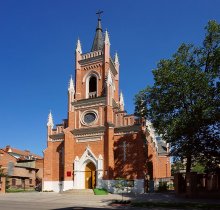 The Catholic church / ***