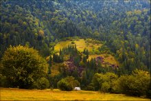 Carpathians ... / ****