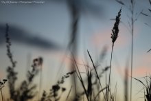 Sunset and Field *** / ***