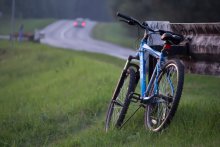 Bicycle tour / ***