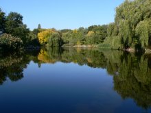 Reflections of autumn. / ***