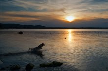 One evening / *****