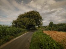 Roadside Giants ... 2 ... / ***