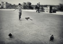 About a boy and pigeons / ...