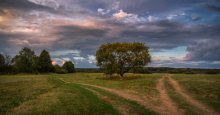 Evening meadow / ***