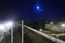night, moon, trees / ***