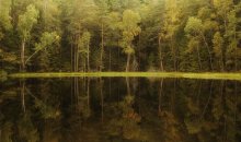 Mirror / ............