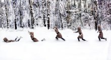 Snowy mood / ***