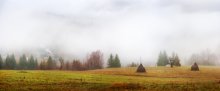 Where do the mists ... / ***