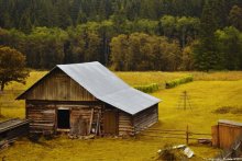 Autumn on the Farm / ......