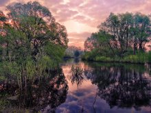 Spring in the Forest / ***