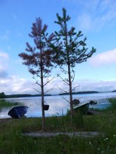 On the shore of Lake Onega. / ***