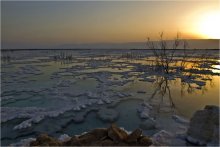 &quot;Snowy&quot; shore of the Dead Sea ... / ***